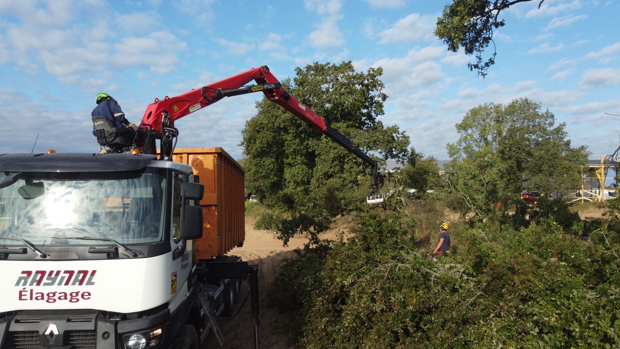 Raynal élagage abattage - Petite commande de matériel chez @vegeloc56 pour  nos grimpeurs afin de faciliter les ascensions dans les arbres 🌳🌳🌳 !