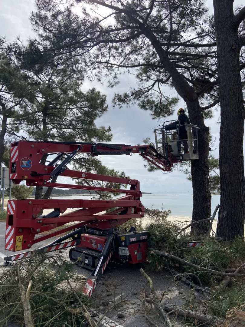 Raynal élagage abattage - Petite commande de matériel chez @vegeloc56 pour  nos grimpeurs afin de faciliter les ascensions dans les arbres 🌳🌳🌳 !