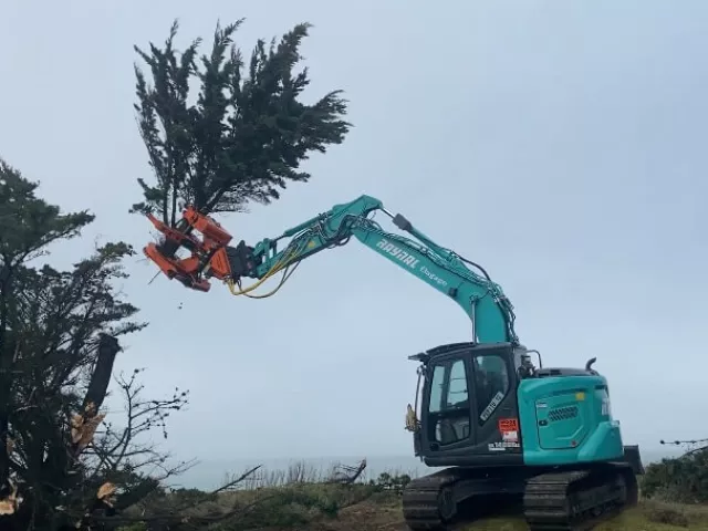 Travaux de démontage à la pelle sécateur
