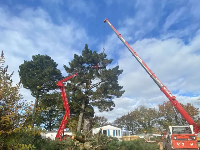 Travaux de démontage à la grue