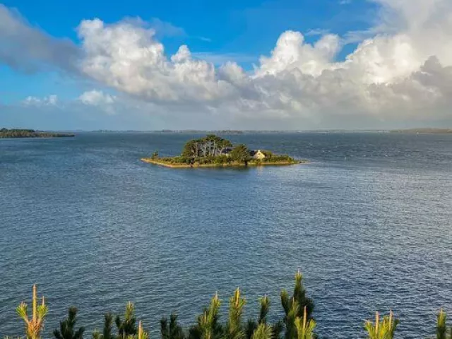 Chantier de restauration d'un site naturel protégé