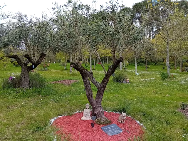Chantier d'entretien du Jardin de la Mémoire 